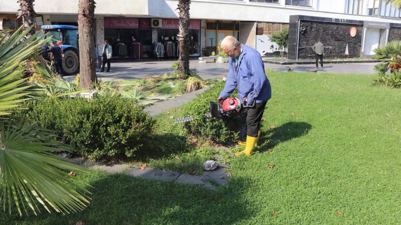 Akçakoca'da Ağaç Budama ve Bakım Çalışmaları Sürüyor