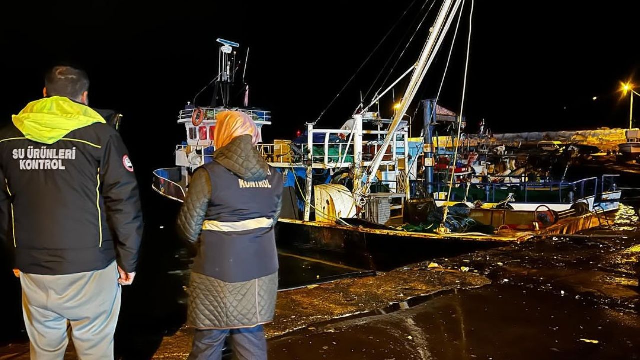 Akçakoca Limanı'nda Hamsi Avı Yoğunluğu Sürüyor