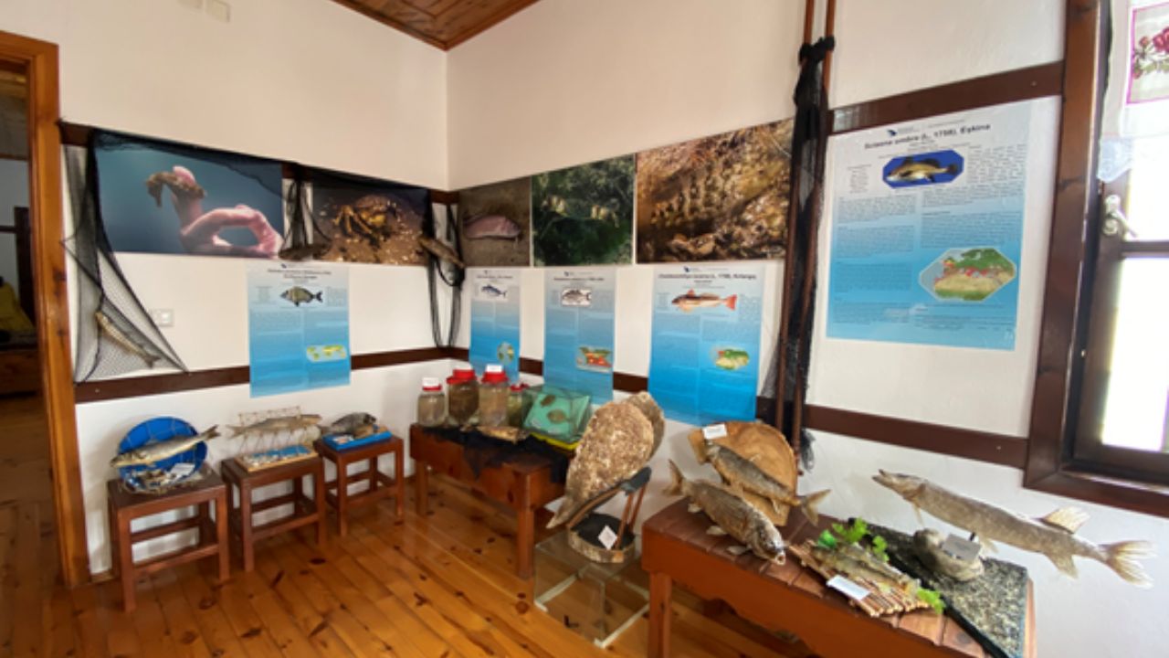 ''Akçakoca Sualtı Dünyası'' Meraklılarını Özkök Kültür Evi'nde Bekliyor