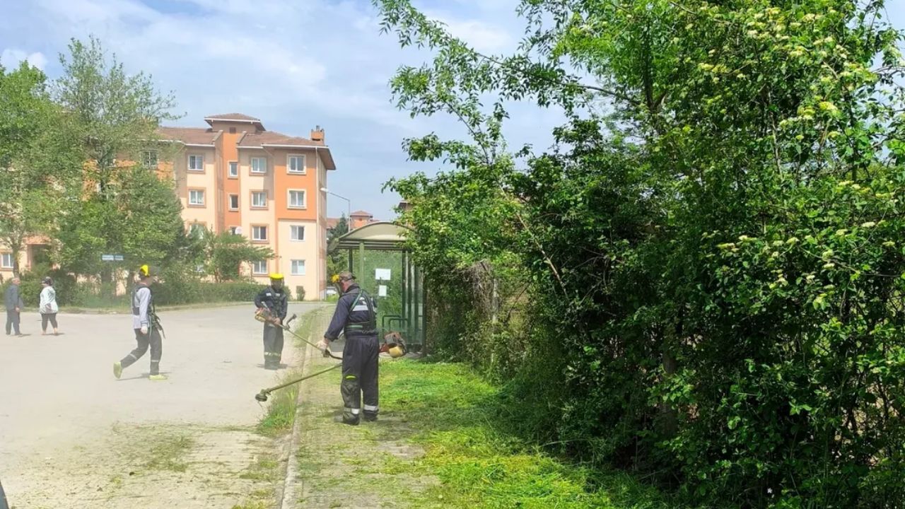 BEYKÖY'DE OT TEMİZLİĞİ VE ÇİM BİÇME ÇALIŞMALARI HIZ KESMİYOR