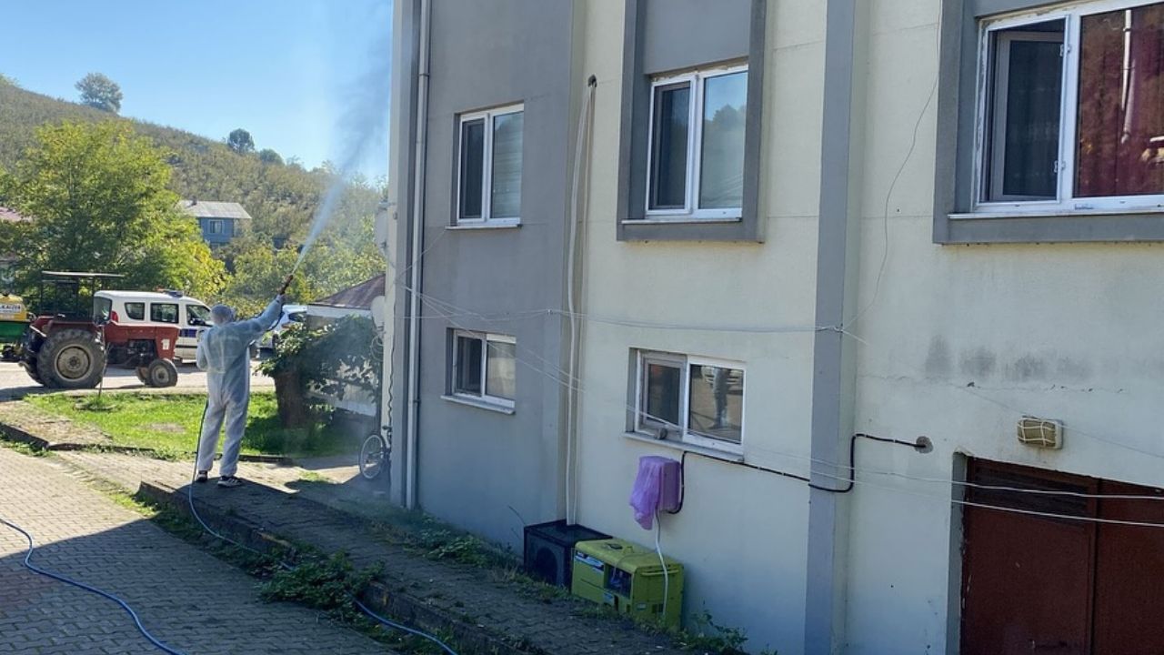 Çilimli'de Kahverengi Kokarca ile Mücadele Devam Ediyor