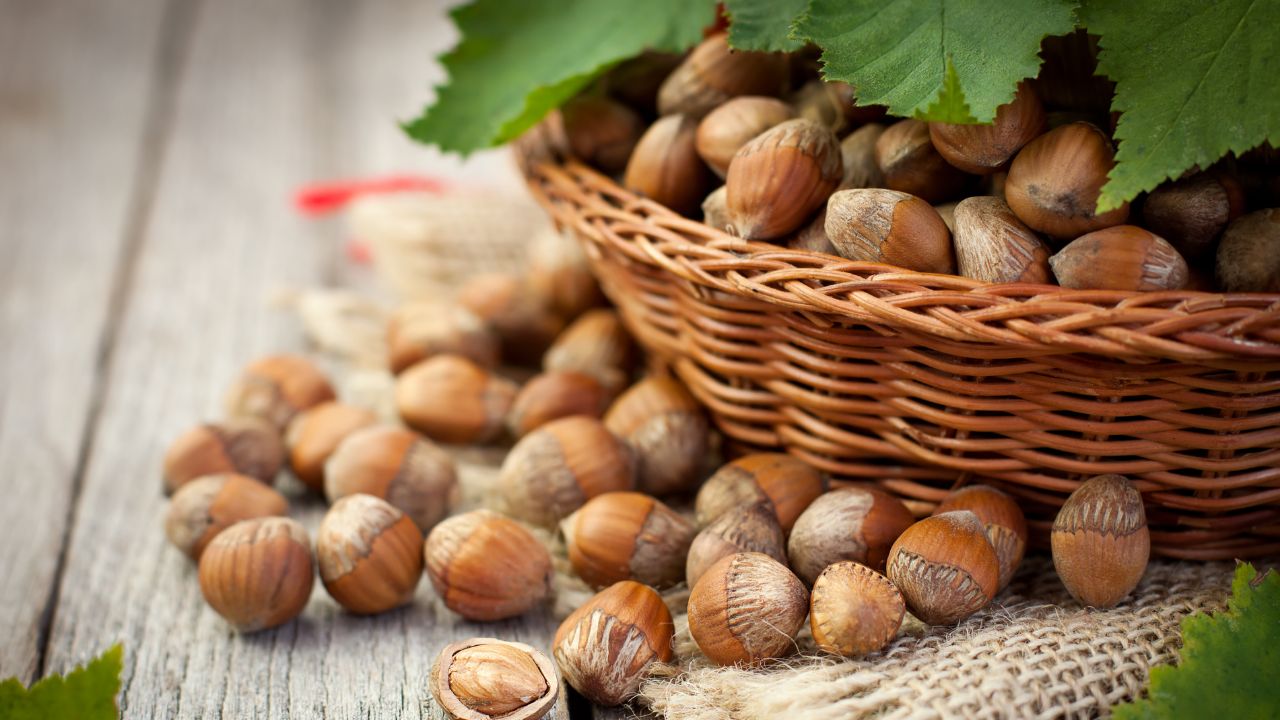 Düzce'de Fındık Fiyatları Yükselişte