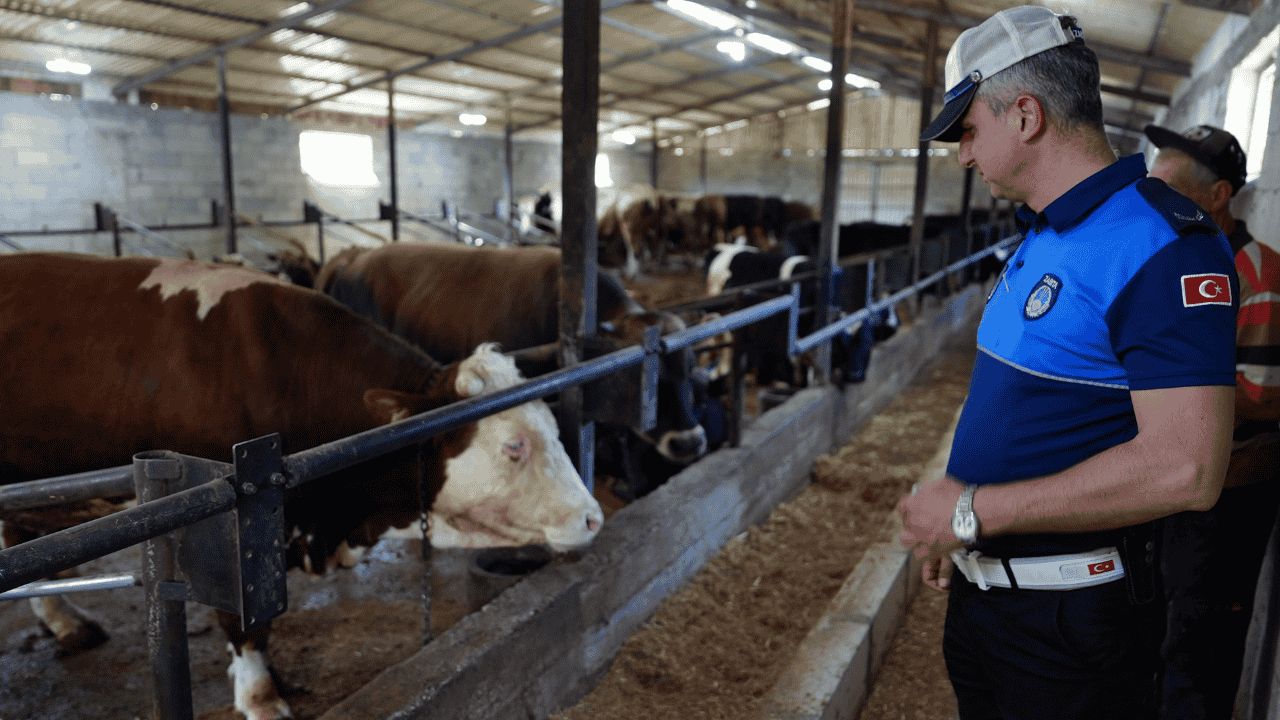 DÜZCE'DE KURBAN KESİM VE SATIŞ YERLERİNDE DENETİMLER BAŞLADI