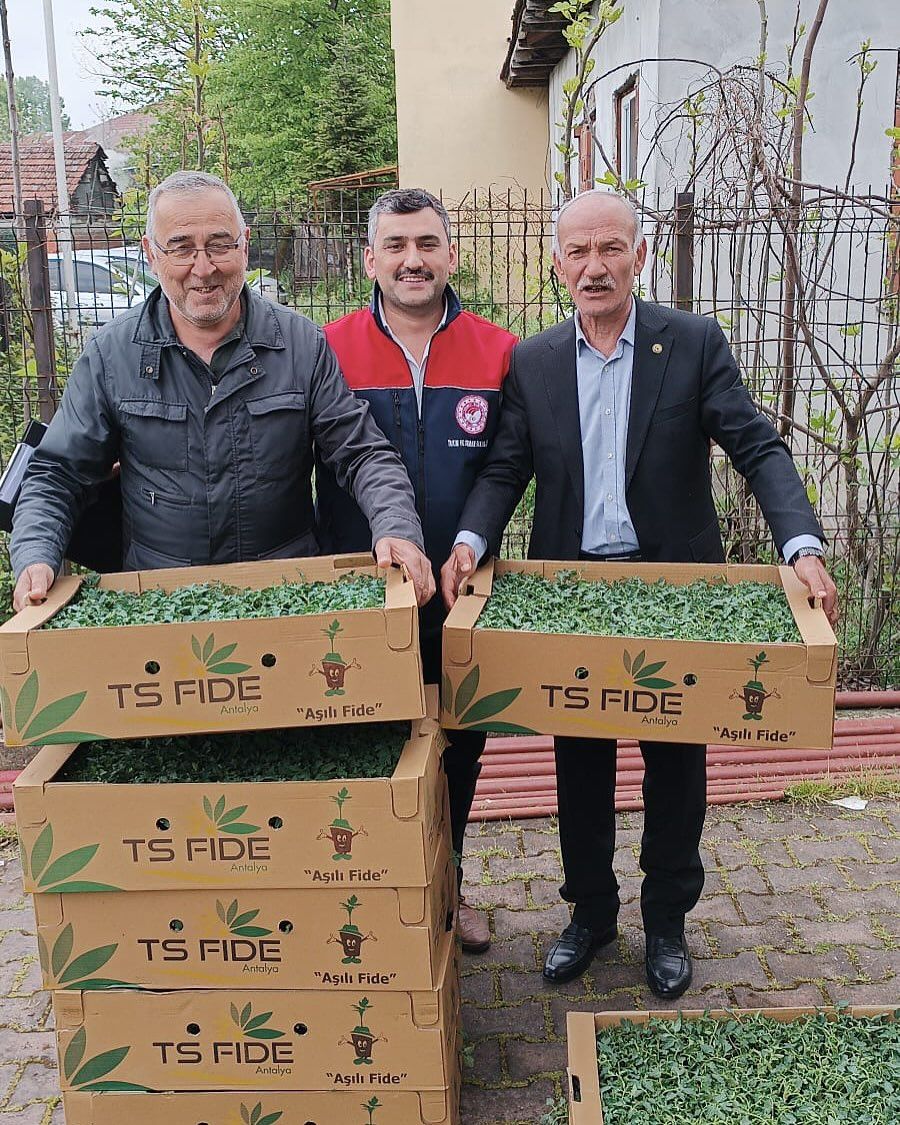GÖLYAKA'DA ÜRETİCİLERE 75 HİBELİ SALATALIK VE DOMATES FİDESİ DAĞITILDI
