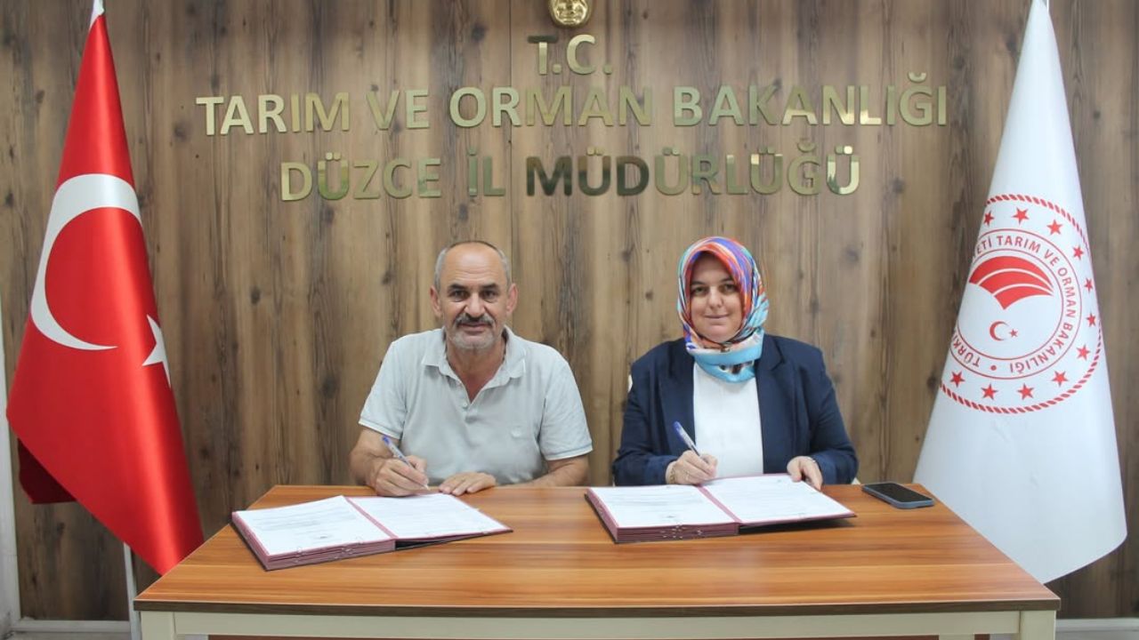 Gümüşova ve Yığılca'da Fındık İşleme Tesislerine Hibe Desteği
