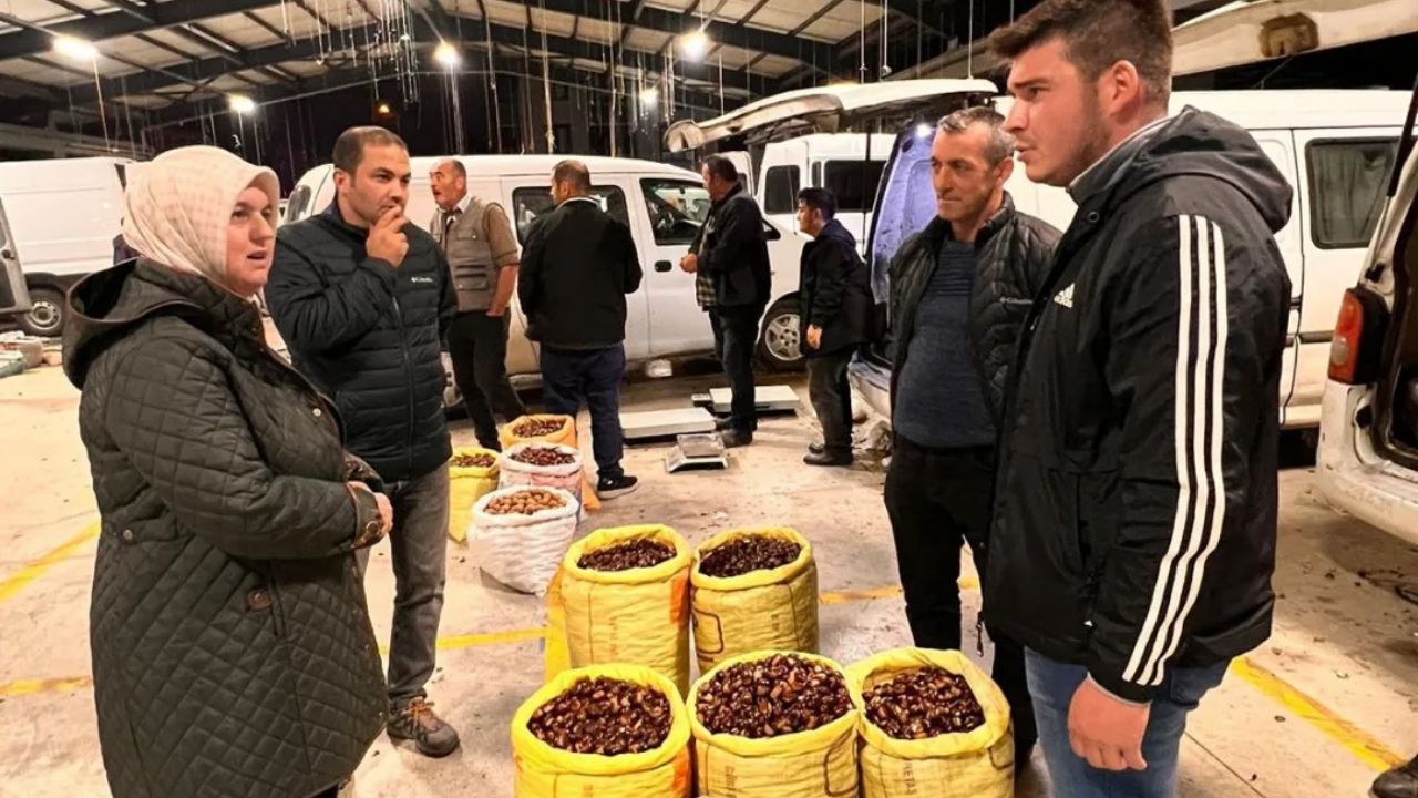 İl Müdürü Esra Uzun, Düzce Kestanesi Üreticileriyle Buluştu