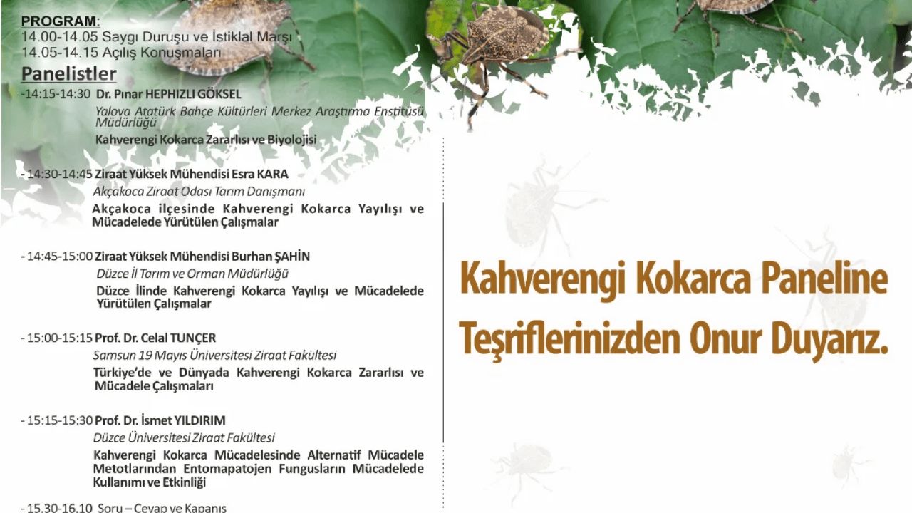 KAHVERENGİ KOKARCA İLE MÜCADELE PANELİ AKÇAKOCA'DA DÜZENLENECEK