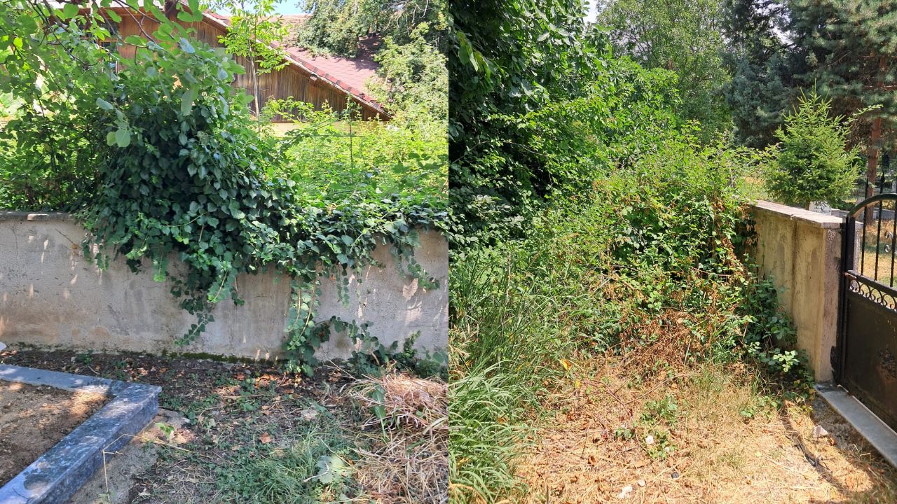 Koçyazı Mezarlığı'nda İhmal İddiası; Çalılar Yolu Kapatıyor, Yetkililer Sessiz!