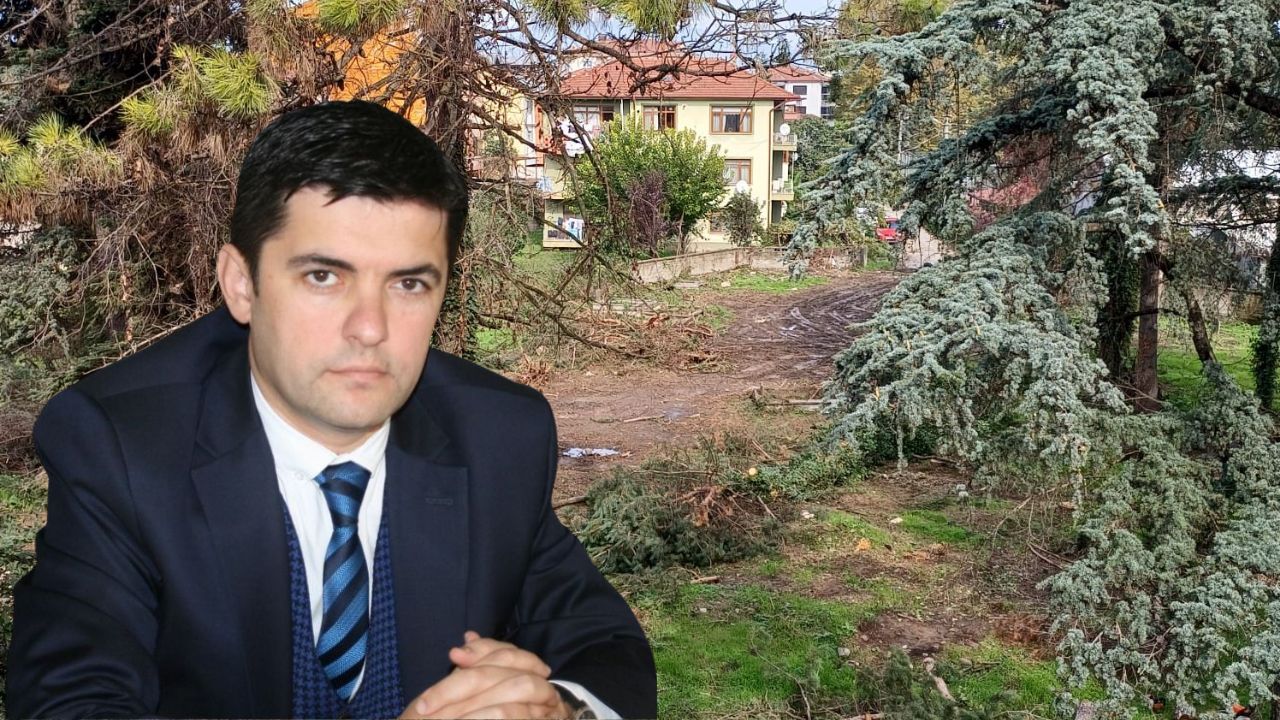 Uzun Mustafa Mahallesi'nde Ağaçlar Kesiliyor; Yunus Özay Er'den Başkan Özlü'ye Çağrı