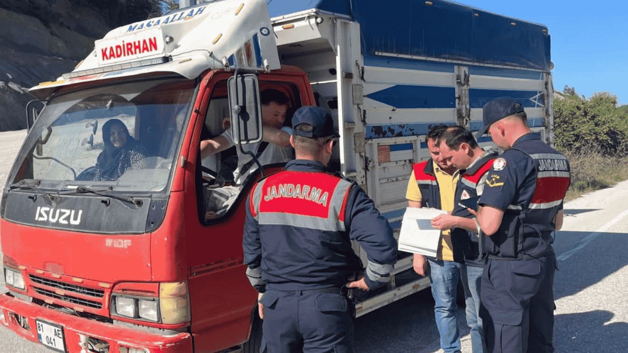 YIĞILCA'DA KURBAN BAYRAMI ÖNCESİ HAYVAN NAKİL ARAÇLARINA SIKI DENETİM