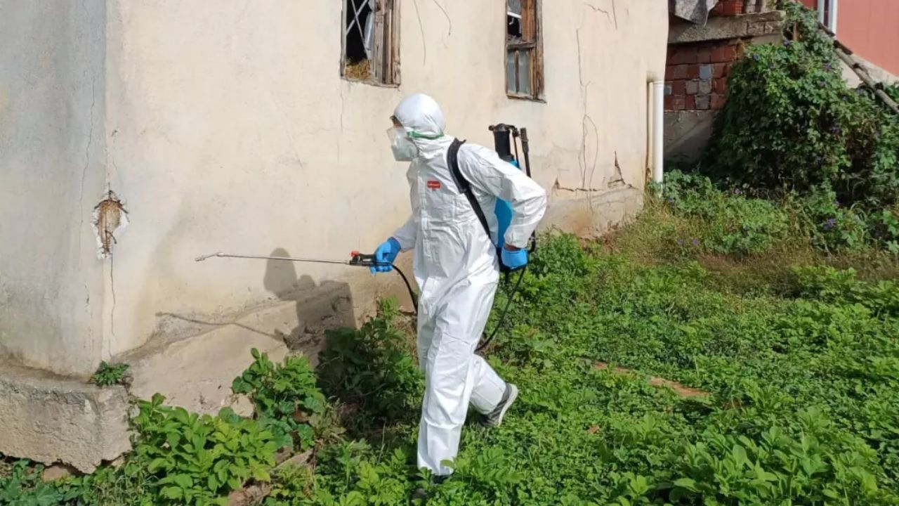 Yığılca Gelenöz Köyü'nde Kahverengi Kokarca ile Kışlak Mücadelesi Gerçekleştirildi