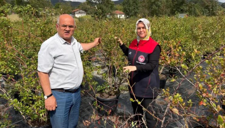 Gümüşova’da Tarımsal Üretime Yakın Takip